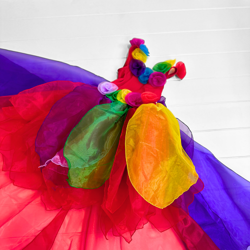 Rainbow Fairy Costume